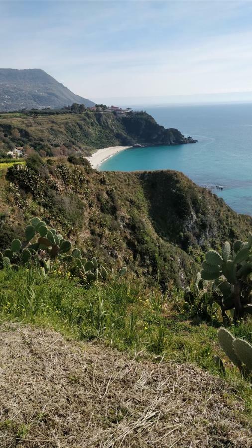 Apartamento Dal Barone Agostino Capo Vaticano Exterior foto